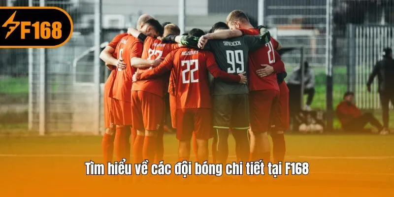 Tìm hiểu về các đội bóng chi tiết tại F168